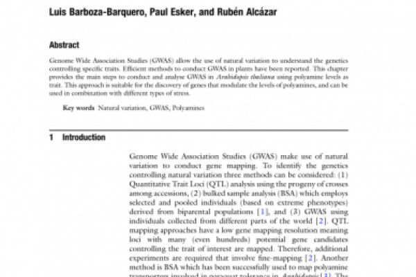Genome-Wide Association Mapping Analyses Applied to Polyamines